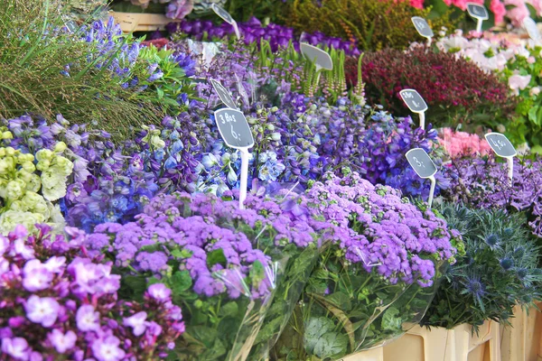 Bloemen te koop bij een Nederlandse bloemenmarkt, Nederland — Stockfoto