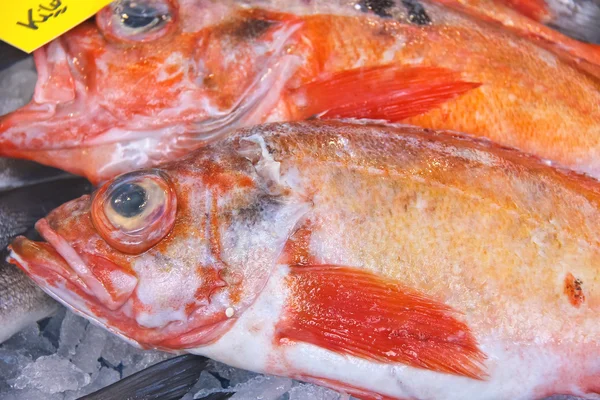 Sales of fresh fish on the market — Stock Photo, Image