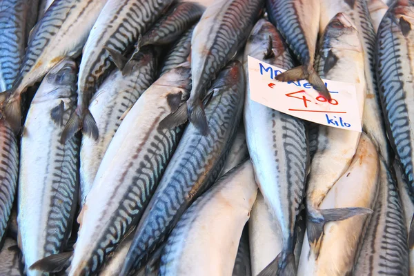 Ventas de caballa fresca en el mercado — Foto de Stock