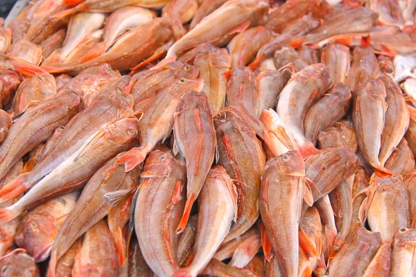 Sales of fresh fish on the market — Stock Photo, Image