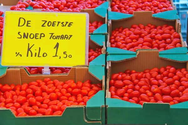 Vendita di pomodoro sul mercato olandese — Foto Stock