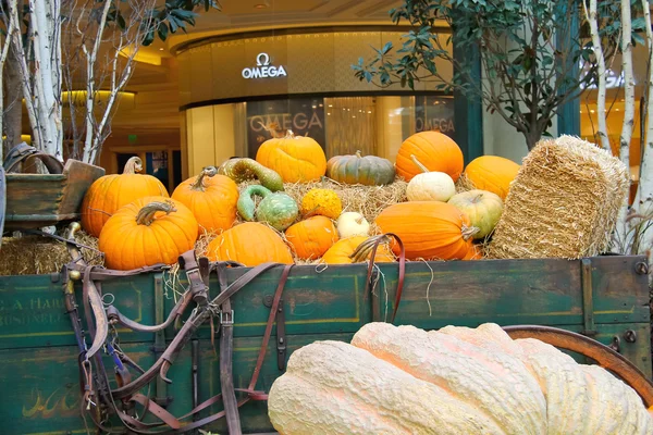 Autumn theme in a greenhouse at Bellagio Hotel in Las Vegas — Stock Photo, Image