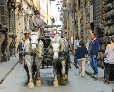 açık saçık Arabacı atları Floransa'da tarafından çekilmiş bir at arabası rides,