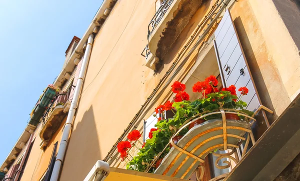Blumen am Fenster des italienischen Hauses — Stockfoto