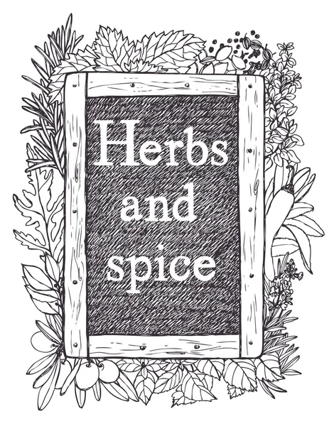 Ardoise et herbes — Image vectorielle