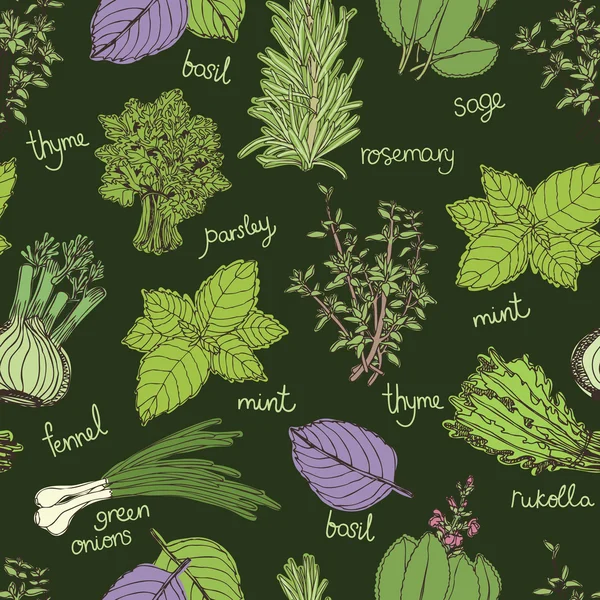 Herbs on the dark background pattern — Stock Vector