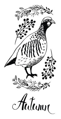 Autumn design card with bird partridge and wild herbs clipart