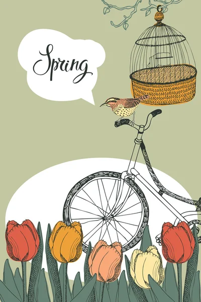 Giardino primaverile, tulipani e bici, design card — Vettoriale Stock