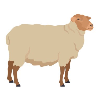 Koyun, Coburger Fuchsscthe Farm hayvanlarını besler. Düz vektör illüstrasyon, izole nesne kümesi.