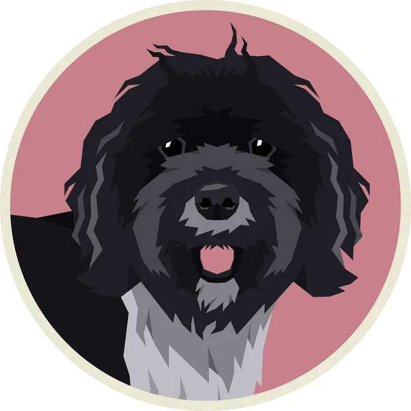 Iconos Razas Caninas Ilustración Vectorial Plana Set Terrier Tibetano — Vector de stock