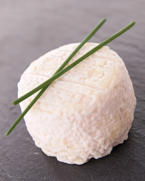 염소 치즈 — 스톡 사진