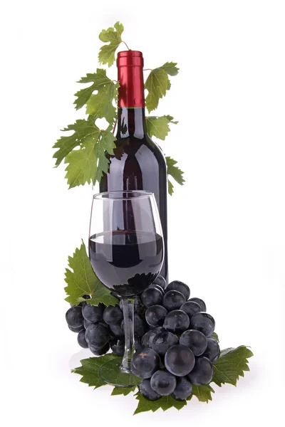 Červené víno a hroznovou na bílém pozadí — Stock fotografie