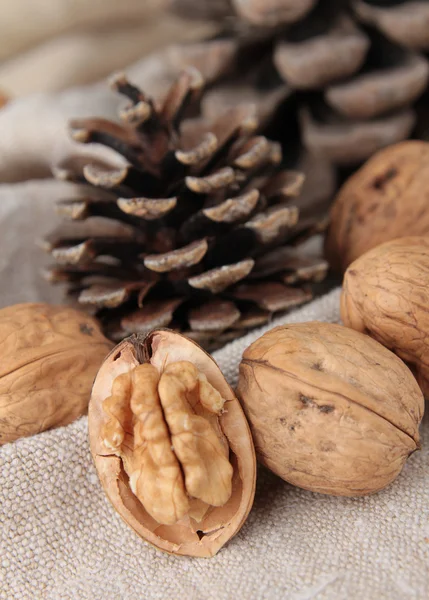 Walnuts and pine cone — Stock Photo, Image