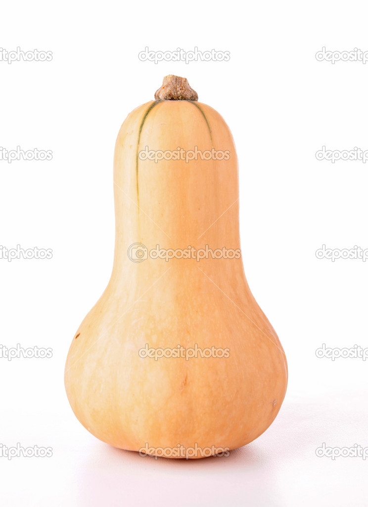 Isolated butternut squash