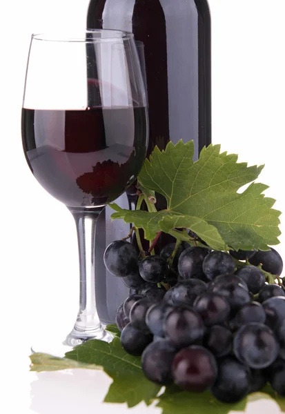 Vino rosso e uva — Foto Stock