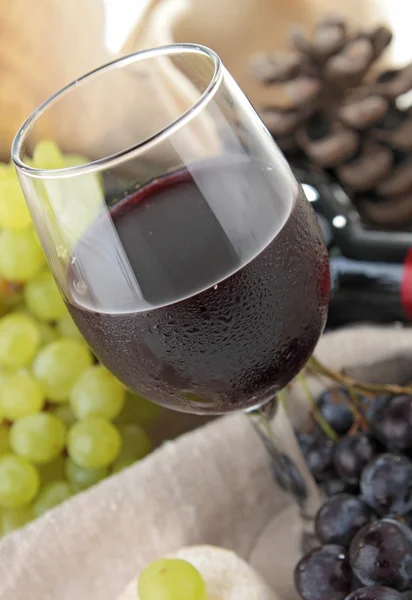 Vino tinto y uva — Foto de Stock