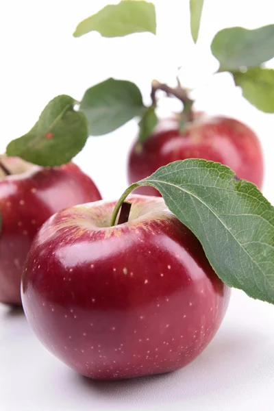 Красное яблоко и лист — стоковое фото