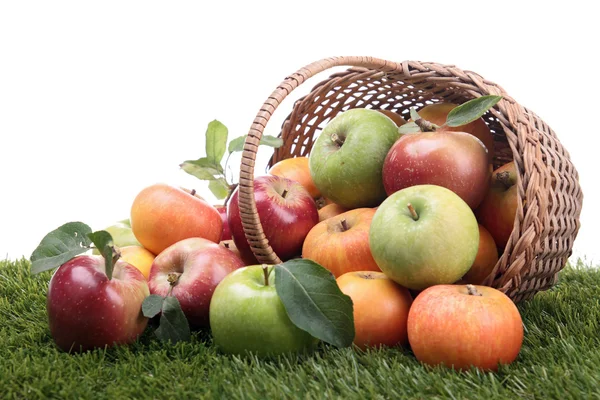 Wicker basket with apples — Stock Photo, Image