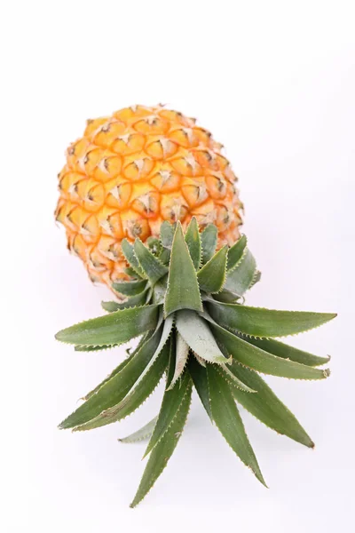 Isolated pineapple — Stock Photo, Image
