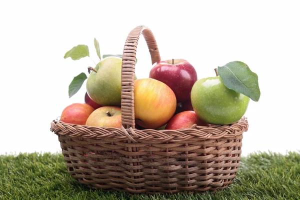 Wicker basket with apples on green herb — Stock Photo, Image