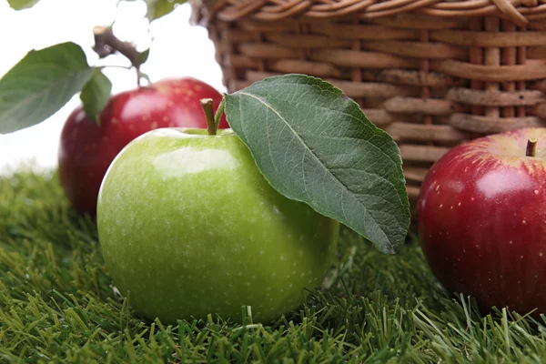 Manzana verde y hoja —  Fotos de Stock