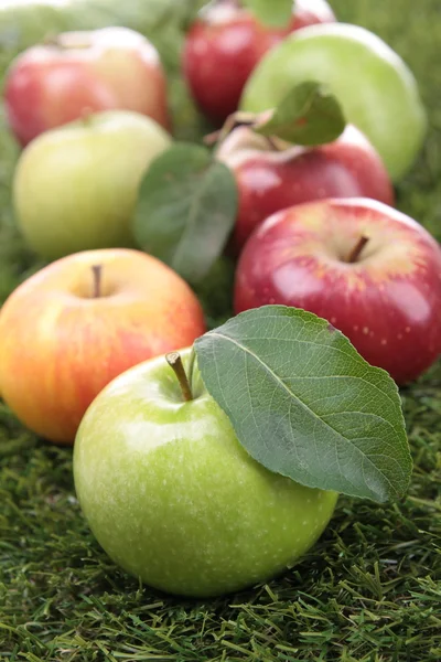 Abundancia de manzanas —  Fotos de Stock