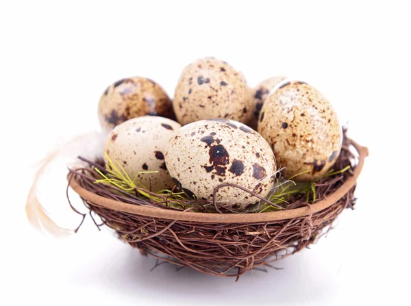 Uova di quaglia nel nido — Foto Stock