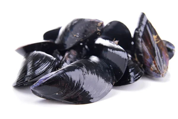 Isolated mussels — Stock Photo, Image