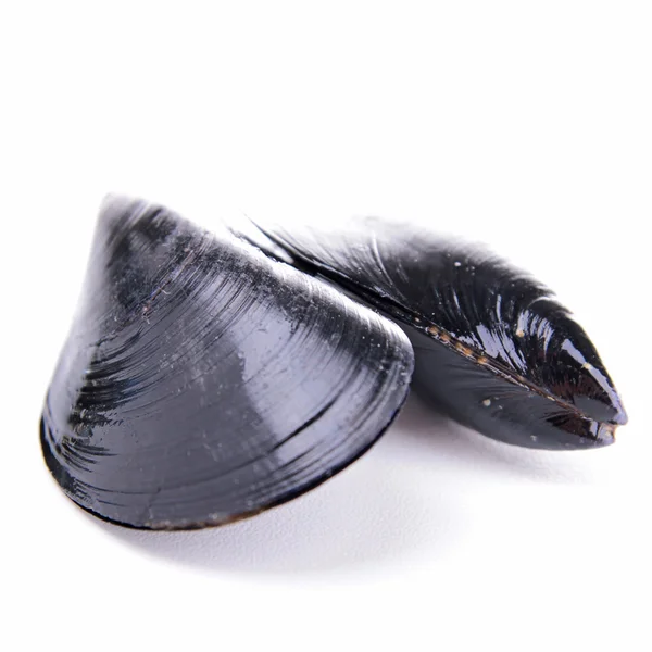 Isolated mussels — Stock Photo, Image