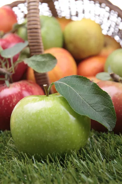 Manzana y hoja —  Fotos de Stock