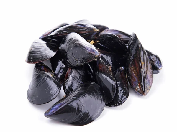 Isolerade mussla — Stockfoto