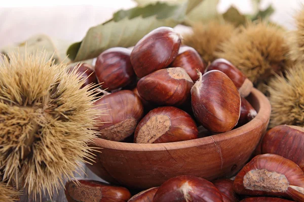 Chestnut — Stock Photo, Image