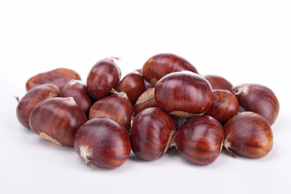 Chestnut — Stock Photo, Image