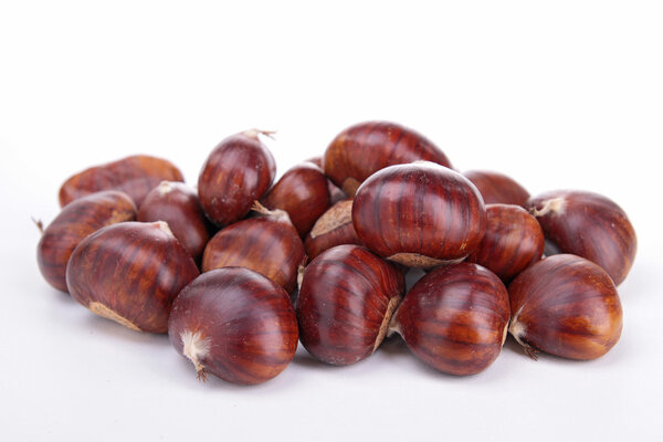 Chestnut
