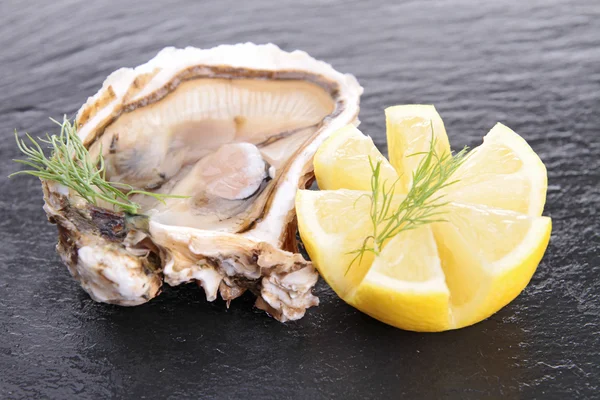 Oyster і лимоном — стокове фото