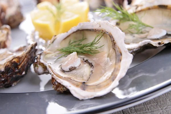 Oyster блюдо — стокове фото