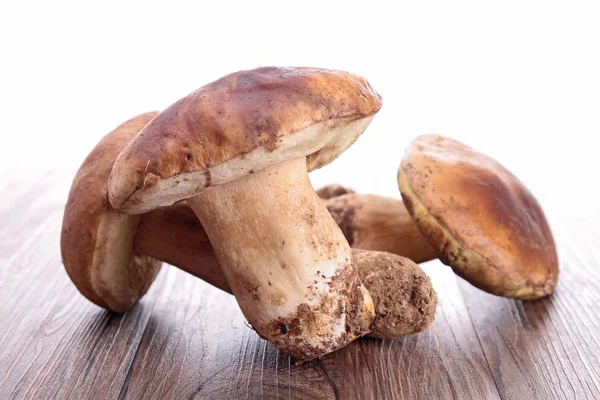 Edible mushroom — Stock Photo, Image