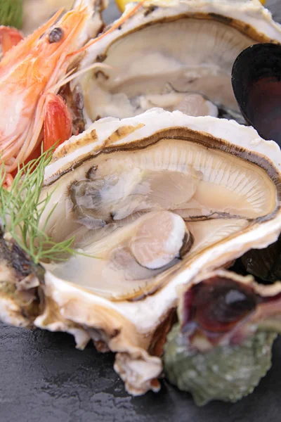 牡蛎拼盘 — 图库照片