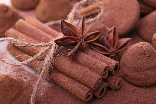 Choklad truffe och krydda — Stockfoto