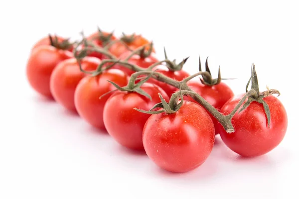 Fresh cherry tomato — Stock Photo, Image