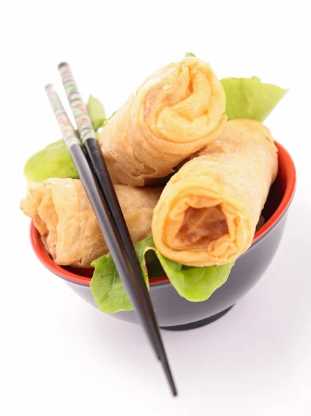 Isolated spring roll — Stock Photo, Image