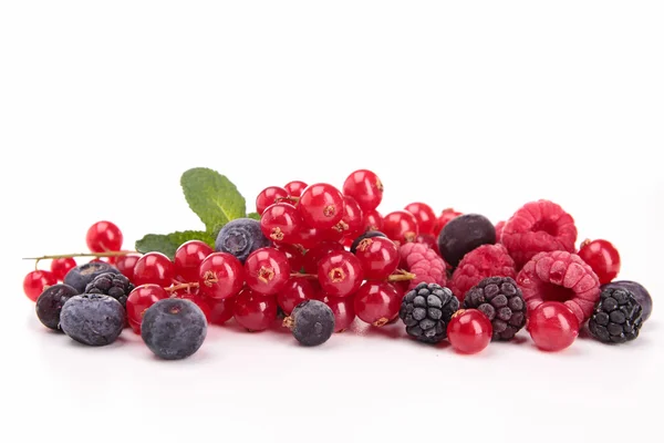 Sortiment an Beeren — Stockfoto