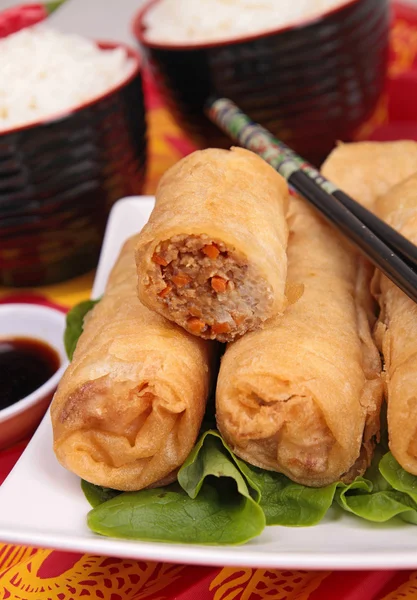 Fried spring roll — Stock Photo, Image