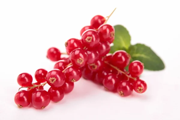 Isolated red currant — Stock Photo, Image