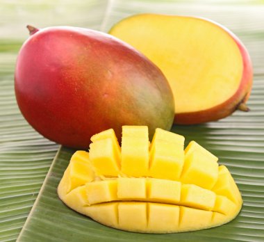 Mango