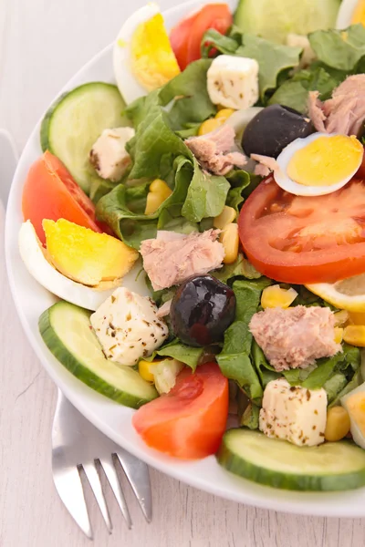 Groente salade — Stockfoto