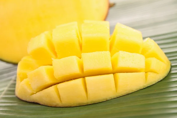 Mango — Foto Stock