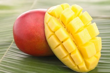 Mango