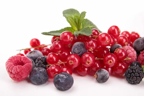 Sortiment von Beeren Früchte — Stockfoto