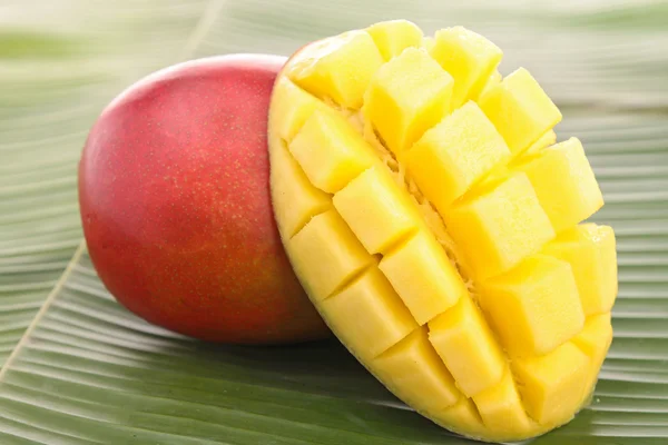 Mango — Foto Stock